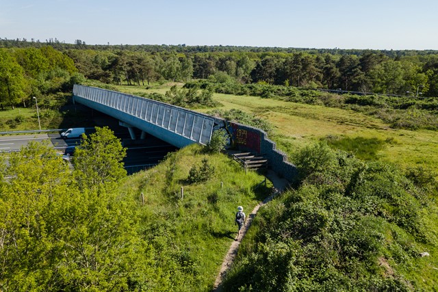 Indrukwekkende bruggen wandeltips; Ecoduct
