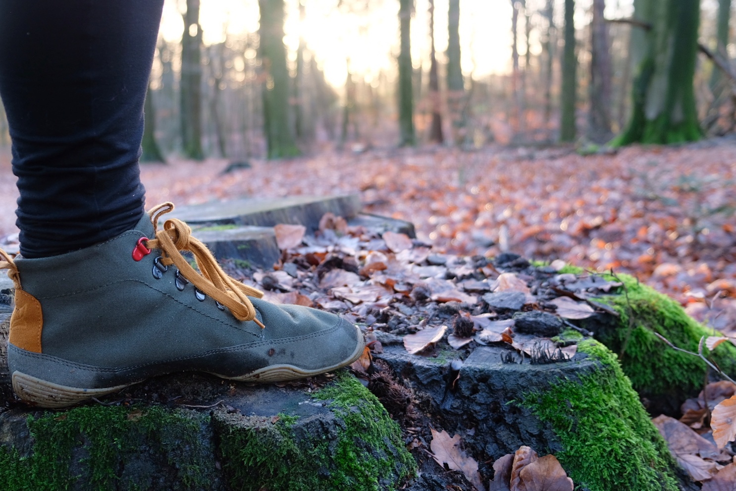 Review: barefoot wandelschoenen van Wildling Shoes - Wandel