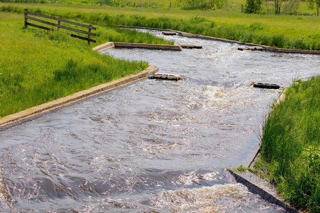 wildwaterkanobaan in het Vechtpark.