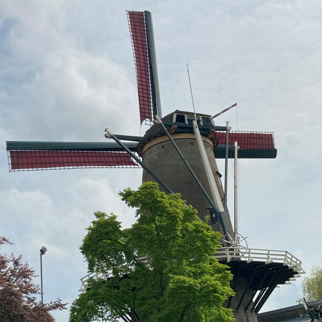 molen: Korenmolen de Windotter in IJsselstein