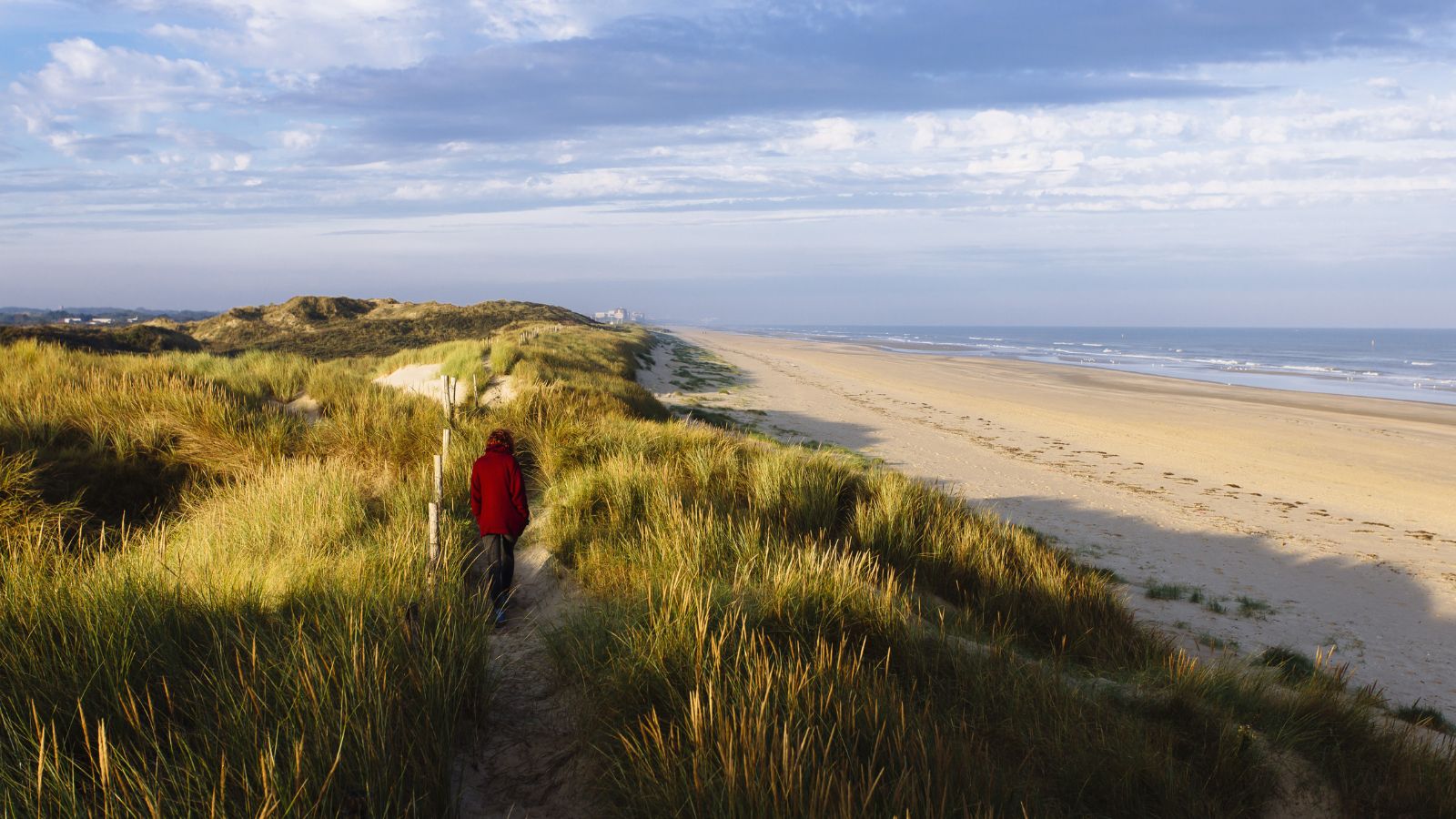 De 5 mooiste wandelroutes langs de Belgische kust