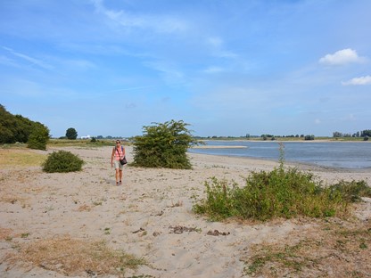 Struinen langs de Waal