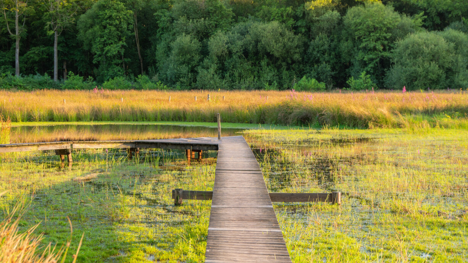 Wandelroute België, West Vlaanderen Bulskampveld