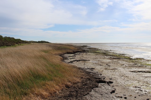 Het Oerd op Ameland