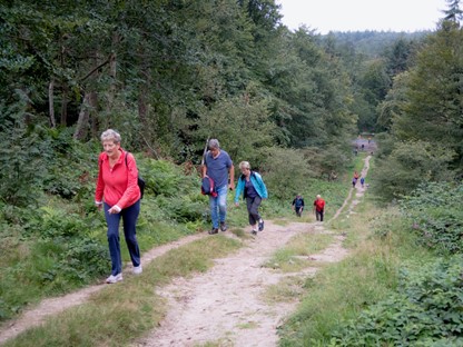 wandelaars in de Nederlandse bergen tijdens een wandeltocht in het bos.