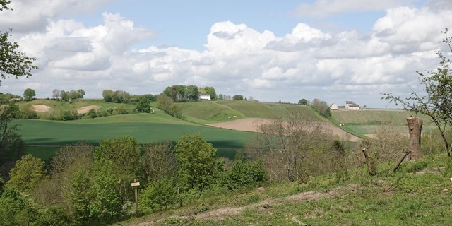 afbeelding van de heuvels op de Sint Pietersberg.