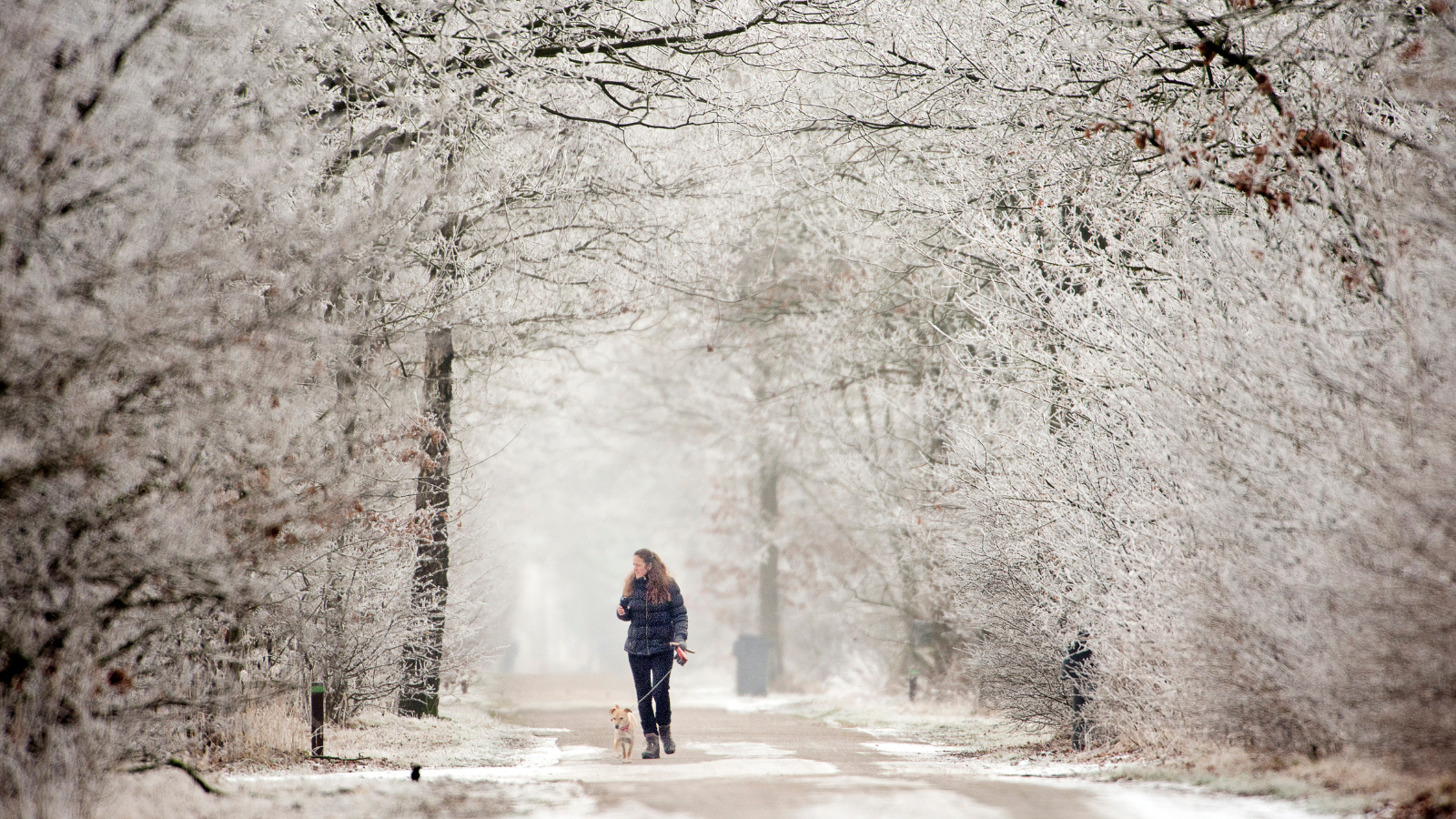 Parkwandeling Noord Brabant Rondje Genderpark (19)