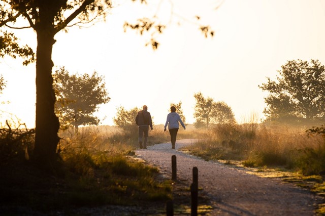 afbeelding van twee mensen die samen wandelen.