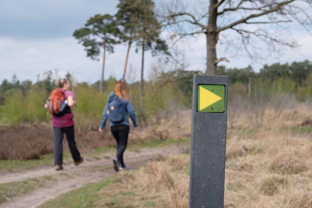 groen-gele marketing van wandelroute met twee wandelaars op de heide