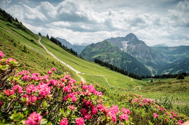 Dominik Berchtold – Kleinwalsertal Tourismus eGen