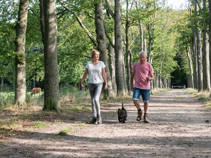 Header | de mooiste netwerkwandelingen in de achterhoek en de liemers