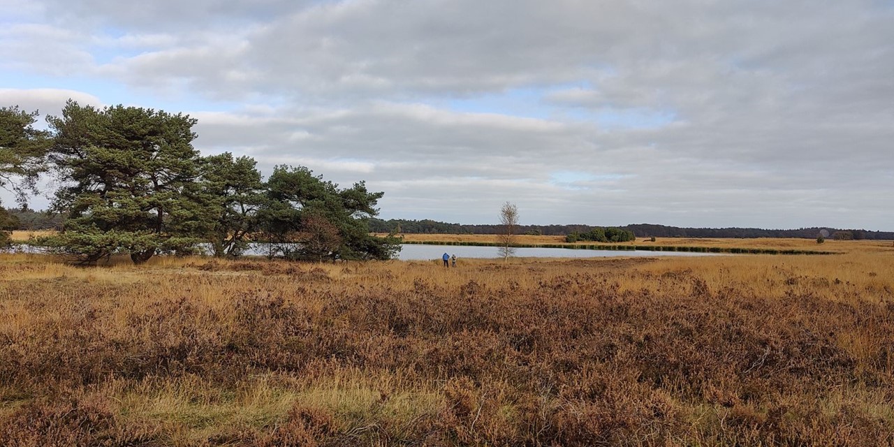 Bos En Heideroute Dwingelderveld