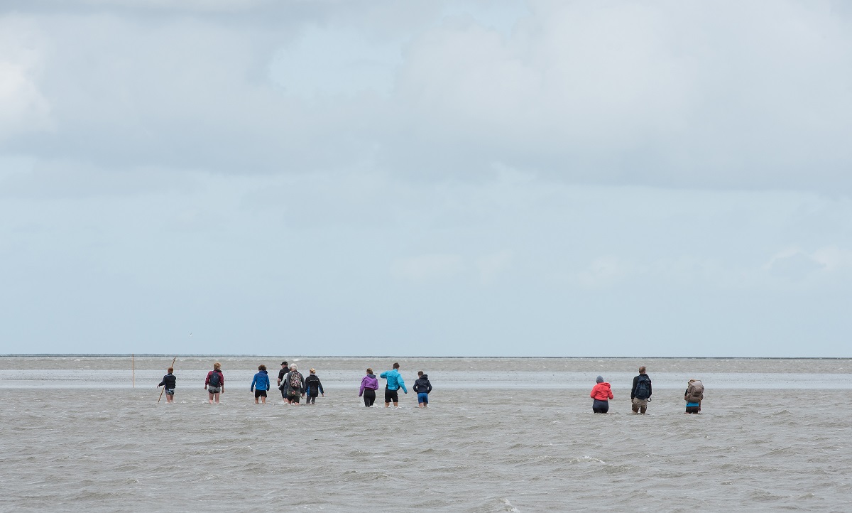 Wadlopen: praktische tips - Wandel