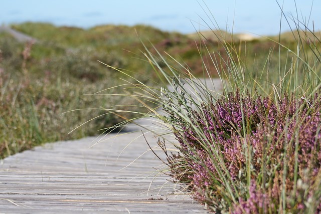 Afbeelding 1 | Drenkelinghuisje Terschelling (Afbeelding: Henriette Kelderman-Makaaij)