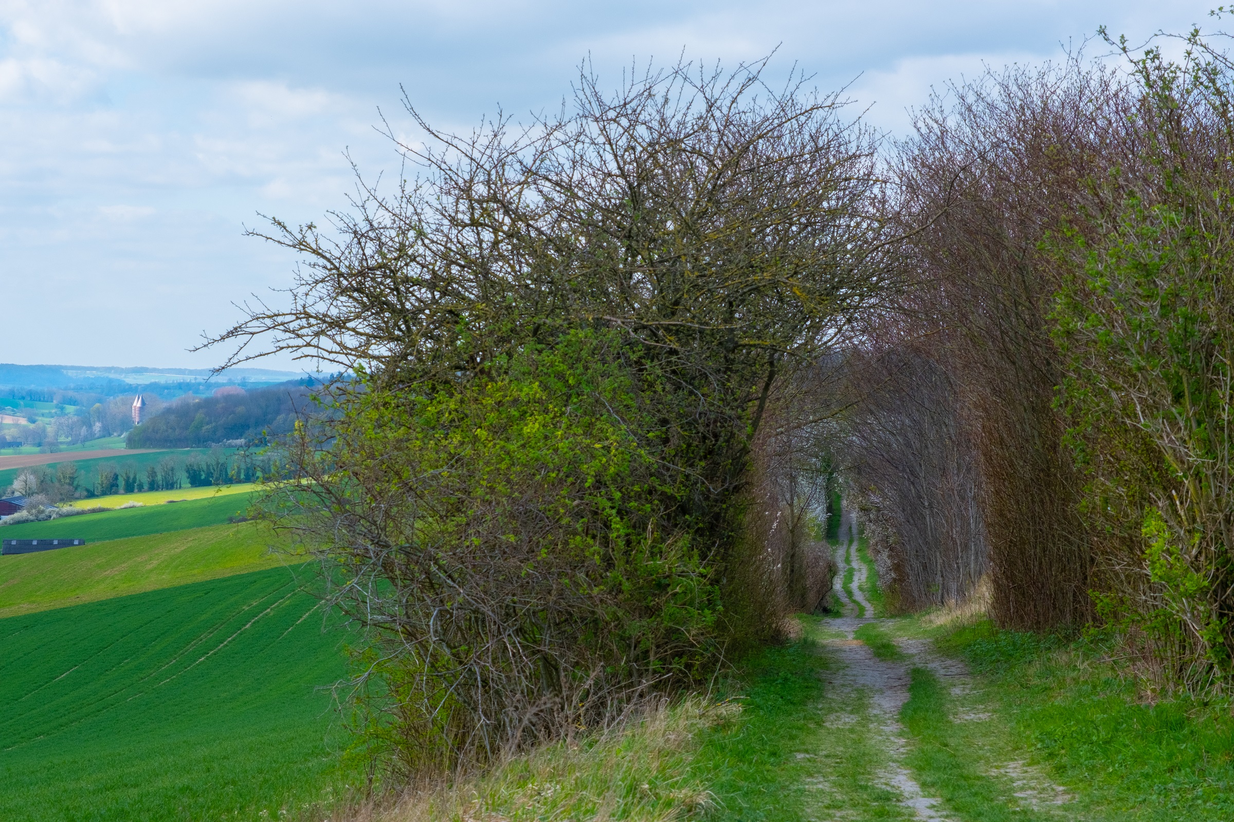 Header | /dutch-mountain-trail (1)