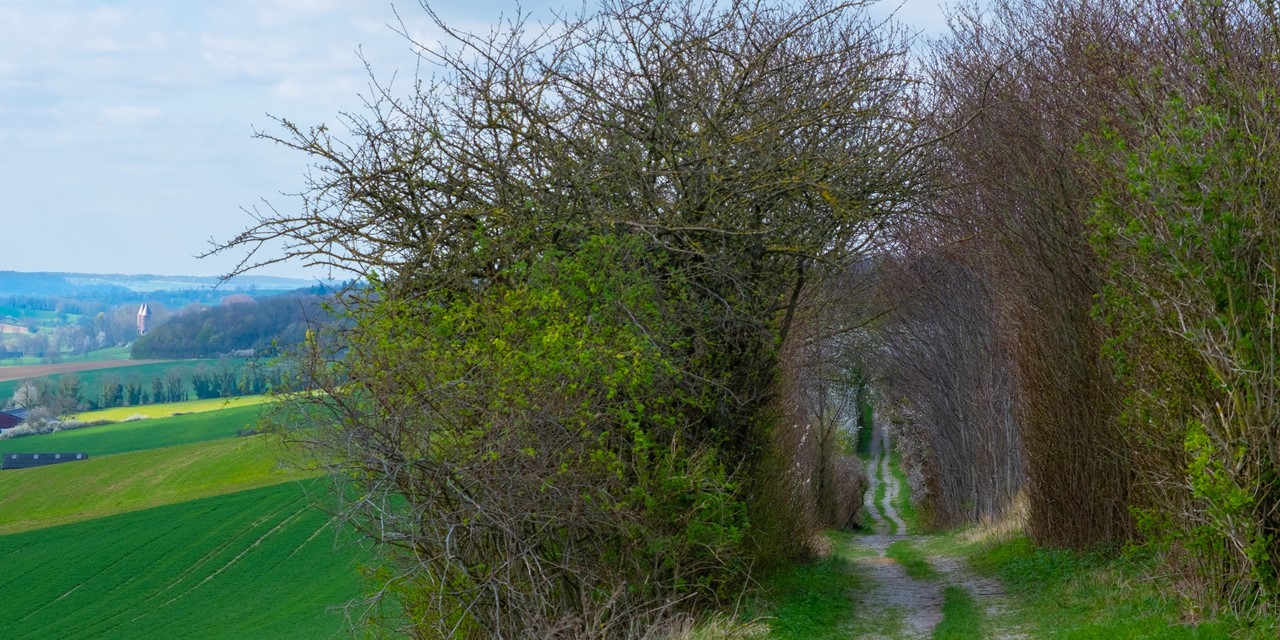 Header | /dutch-mountain-trail (1)