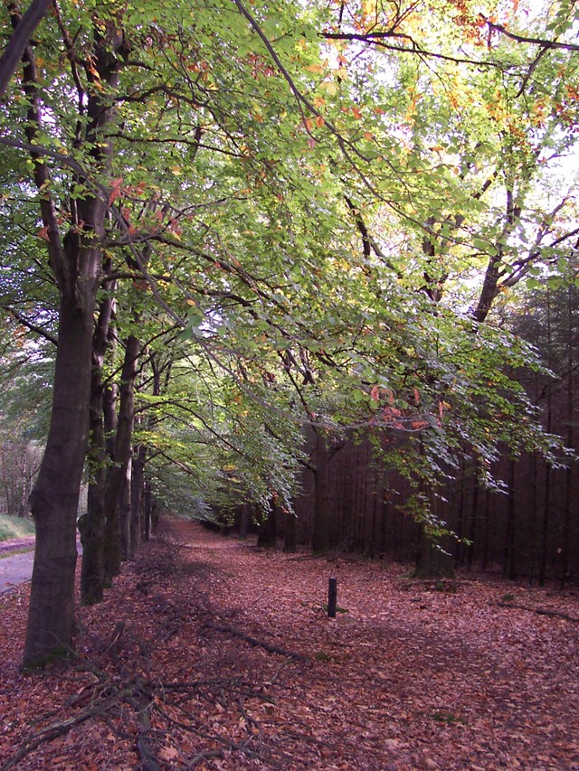 Holterberg