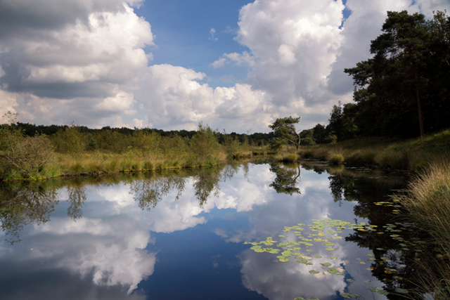 Boswachterspad Noord Brabant Strijbeekse Heide Heide En Smokkelaars