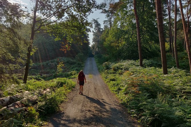 De Mooiste Pelgrimstochten In Eigen Land Walk Of Wisdom (Gelderland)