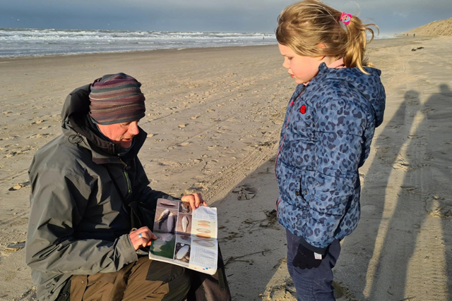 7X De Leukste Wandelexcursies Op Texel: Strand Struun
