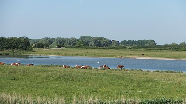Vreugderijkerwaard | Zwolle