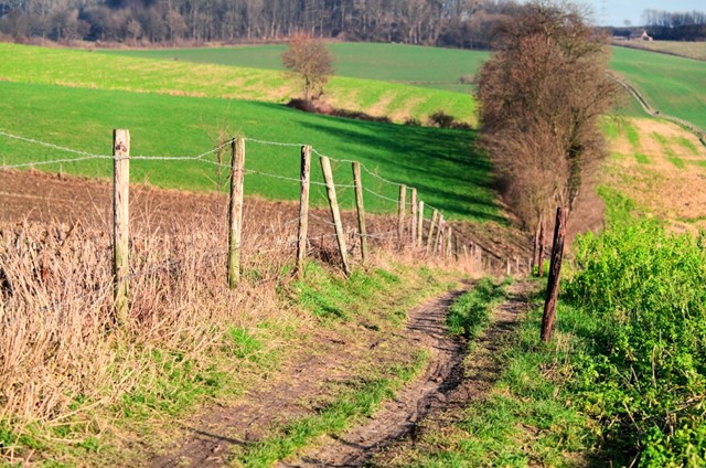 Krijtlandpad