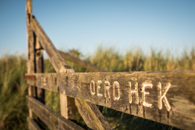 Wandelroute 'T Oerd VVV Ameland (2)