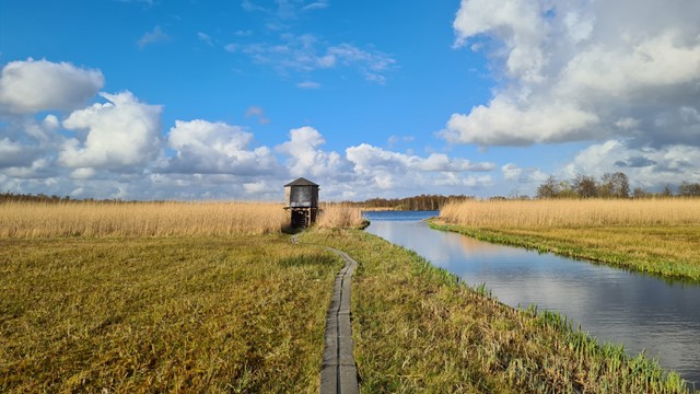 afbeelding van een plankenpad en vogelkijkhut op het Laarzenpad Naarden.
