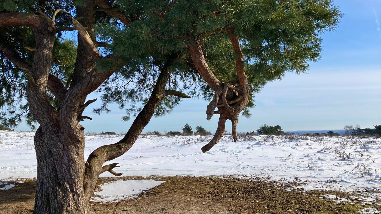 Pieterpad Etappe 10 Ommen