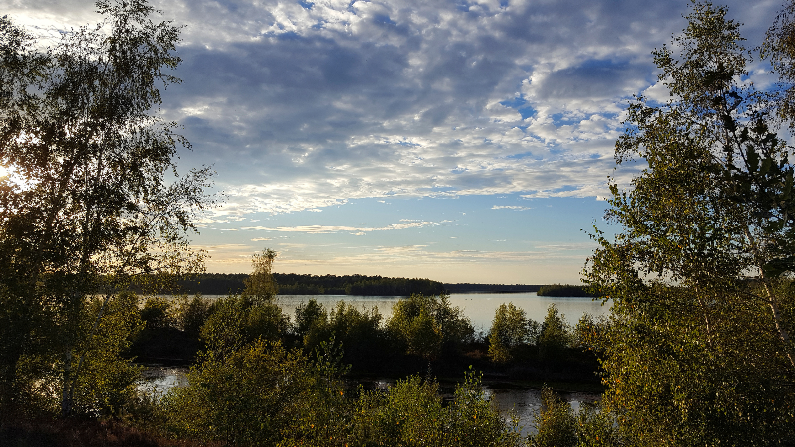 Wandelroute Nationaal Park De Maasduinen Reindersmeer