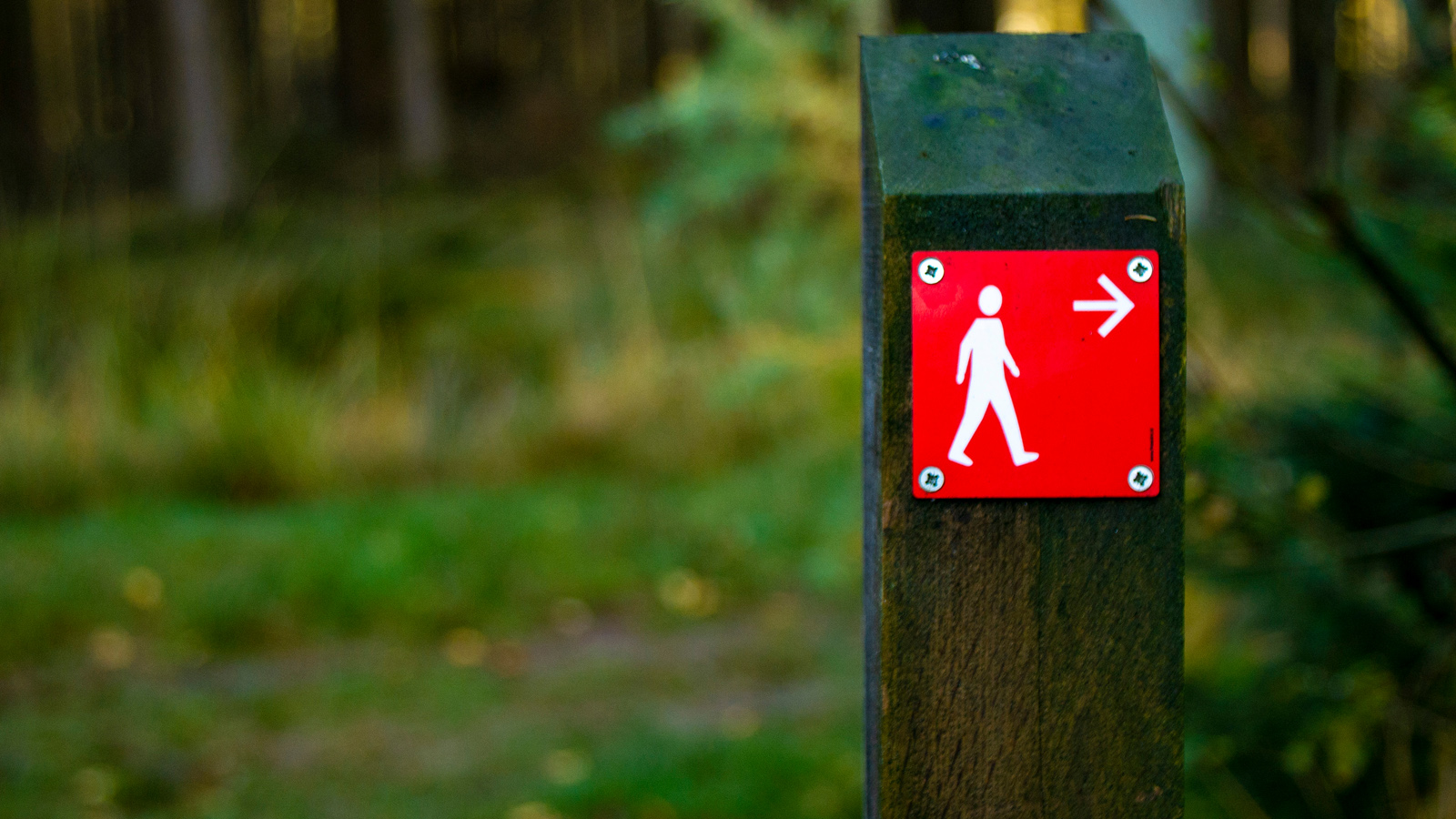 afbeelding van een rood bordje met een pijl voor wandelaars.