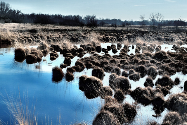 Dit zijn de hoogtepunten van het Grenslandpad (LAW 11) Etappe 16 Woekerend gras bij Valkenswaard