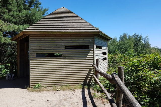 Wandelroute Nationaal Park De Maasduinen Reindersmeer Vogelkijkhut