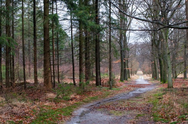Landgoed De Dellen