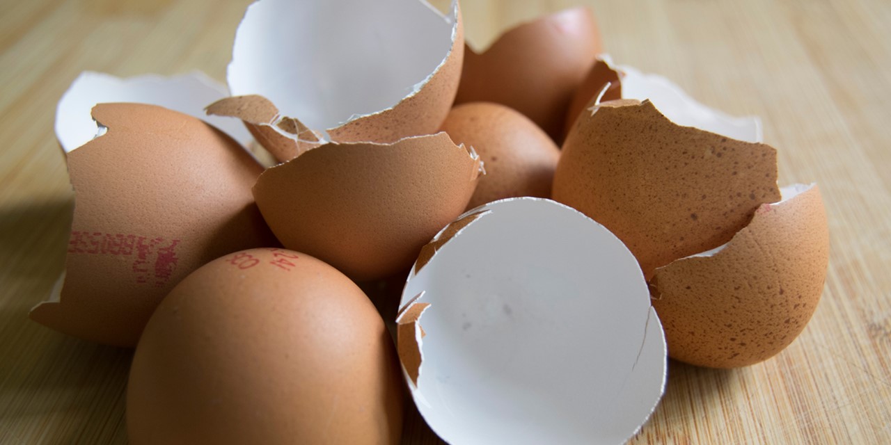 afbeelding van eierschalen.