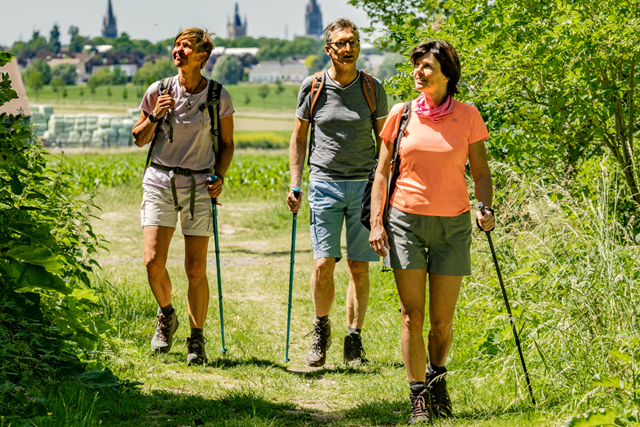 Wandelen In De Westhoek (3)