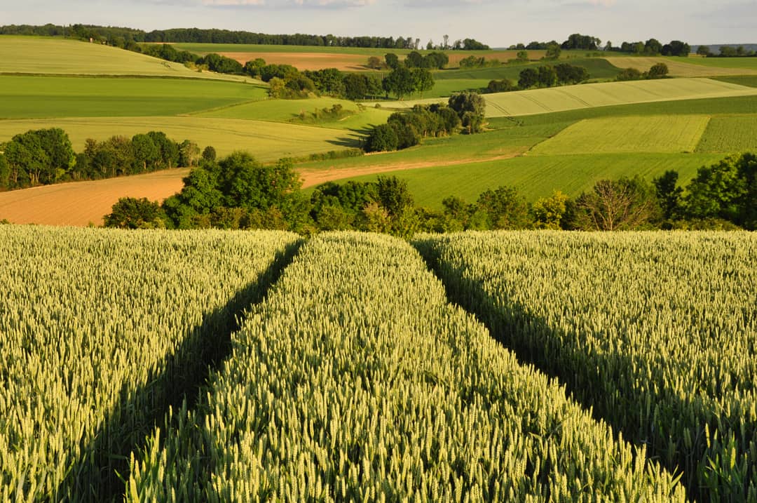 Land Van Kalk - Fromberg