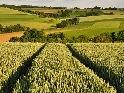 Land Van Kalk - Fromberg