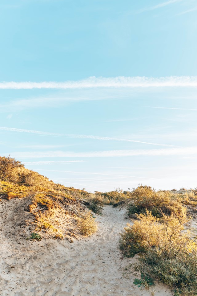 Wisentenroute Zandvoort, Foto: @Mascha, Wandeldingen