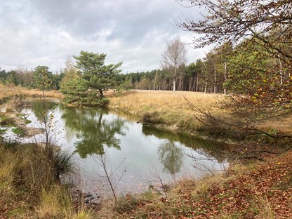 Het Putven in de Chaamse bossen