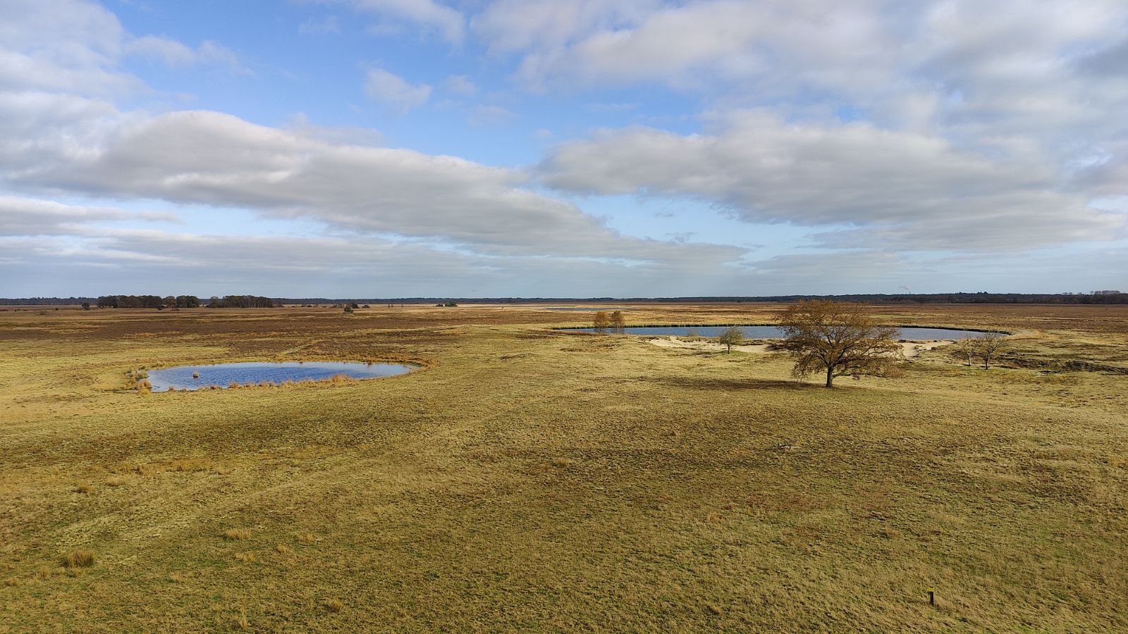 Een wandelreis in Drenthe: genieten van de herfst in optima forma