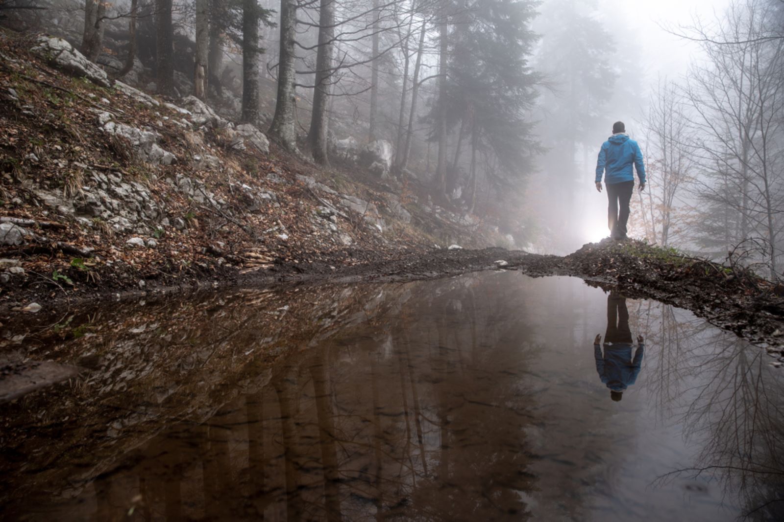 Wandelen Met En Tegen Angst; Mist bos