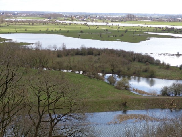 Uitzicht op de top van de Grebbeberg