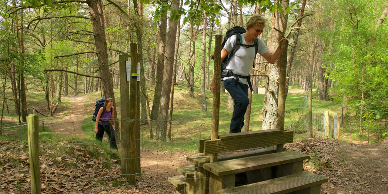 10 wandelroutes op de Utrechtse Heuvelrug