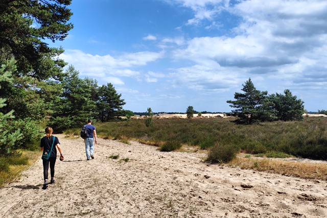 wandelaars over het zand in de Loonse en Drunense Duinen.