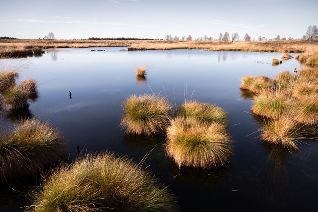 Wandelen Rond Spa Julien Libert Sentiers Du Phoenix Hertogenwald