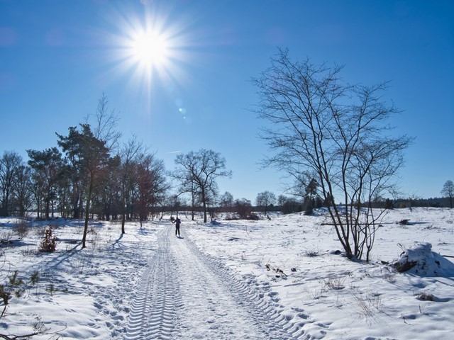 afbeelding van een besneeuwd landschap in Nationaal Park De Sallandse Heuvelrug.