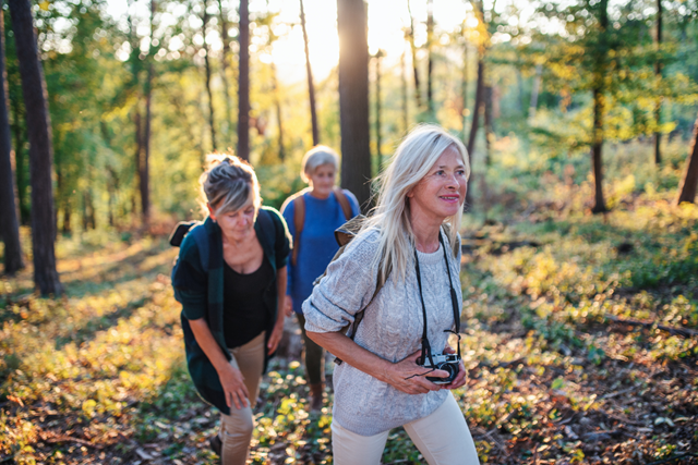Afvallen Door Te Wandelen Tips Wandel Vaker