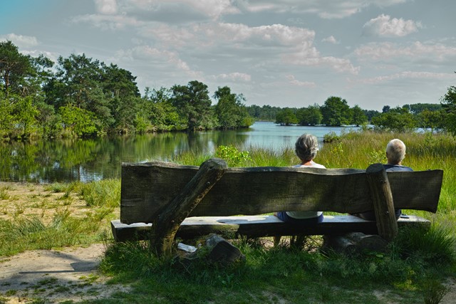 afbeelding van een bankje in de Kempen.