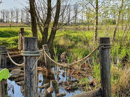 Blotevoetenpad Gelderland Engbergen